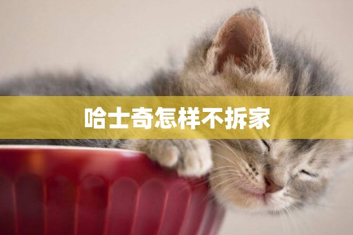 哈士奇怎樣不拆家