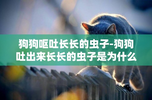 狗狗嘔吐長長的蟲子-狗狗吐出來長長的蟲子是為什么