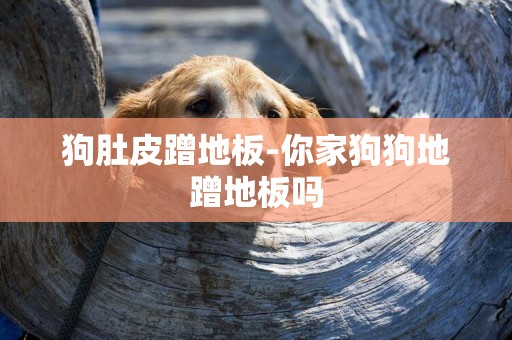 狗肚皮蹭地板-你家狗狗地蹭地板嗎