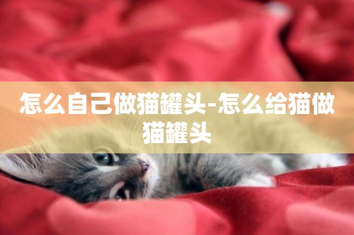 怎么自己做貓罐頭-怎么給貓做貓罐頭