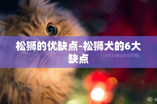 松獅的優缺點-松獅犬的6大缺點