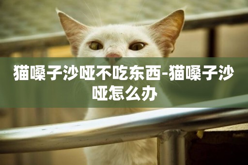貓嗓子沙啞不吃東西-貓嗓子沙啞怎么辦