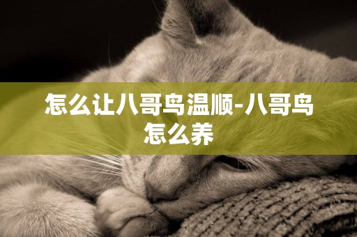 怎么讓八哥鳥溫順-八哥鳥怎么養
