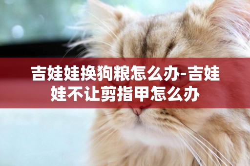 吉娃娃換狗糧怎么辦-吉娃娃不讓剪指甲怎么辦