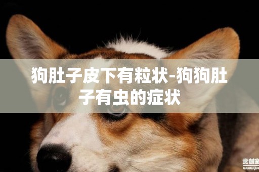 狗肚子皮下有粒狀-狗狗肚子有蟲的癥狀