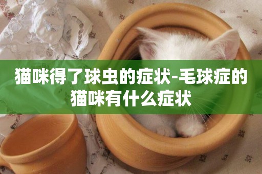 貓咪得了球蟲的癥狀-毛球癥的貓咪有什么癥狀