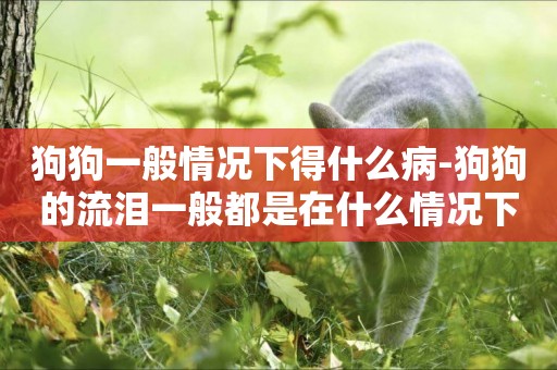 狗狗一般情況下得什么病-狗狗的流淚一般都是在什么情況下