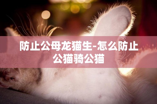 防止公母龍貓生-怎么防止公貓騎公貓