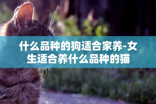 什么品種的狗適合家養-女生適合養什么品種的貓