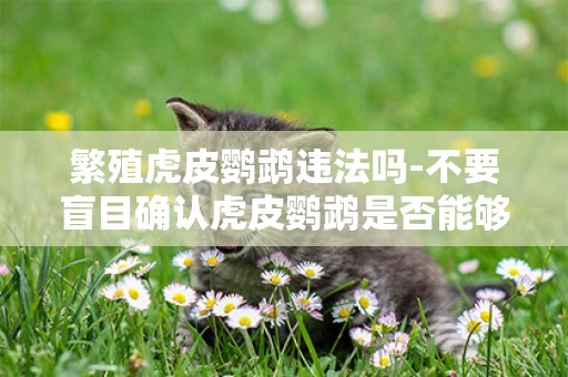 繁殖虎皮鸚鵡違法嗎-不要盲目確認虎皮鸚鵡是否能夠繁殖