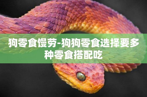狗零食饅勞-狗狗零食選擇要多種零食搭配吃