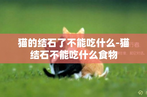貓的結石了不能吃什么-貓結石不能吃什么食物