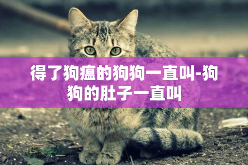 得了狗瘟的狗狗一直叫-狗狗的肚子一直叫