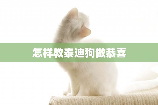 怎樣教泰迪狗做恭喜