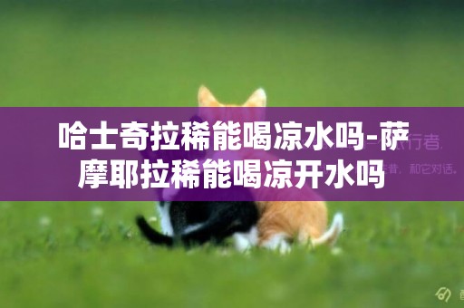 哈士奇拉稀能喝涼水嗎-薩摩耶拉稀能喝涼開水嗎