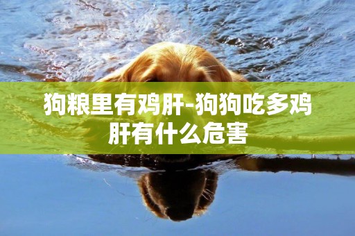 狗糧里有雞肝-狗狗吃多雞肝有什么危害