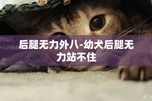 后腿無力外八-幼犬后腿無力站不住