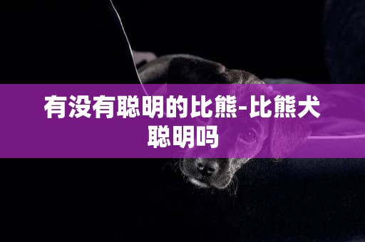有沒有聰明的比熊-比熊犬聰明嗎