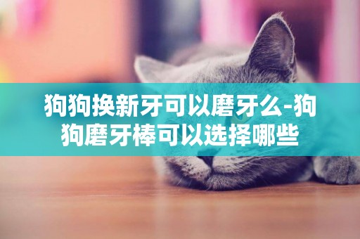 狗狗換新牙可以磨牙么-狗狗磨牙棒可以選擇哪些