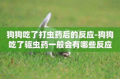 狗狗吃了打蟲藥后的反應-狗狗吃了驅蟲藥一般會有哪些反應