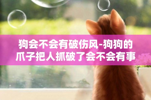 狗會不會有破傷風-狗狗的爪子把人抓破了會不會有事