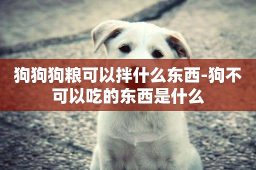 狗狗狗糧可以拌什么東西-狗不可以吃的東西是什么