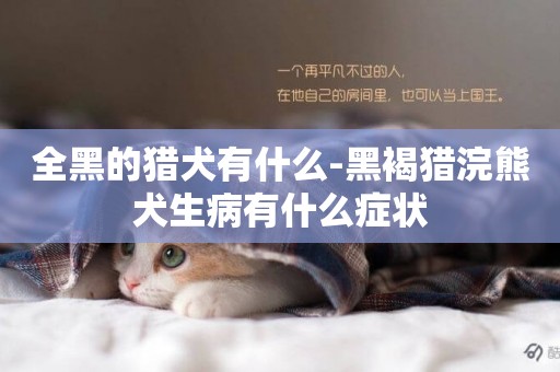 全黑的獵犬有什么-黑褐獵浣熊犬生病有什么癥狀