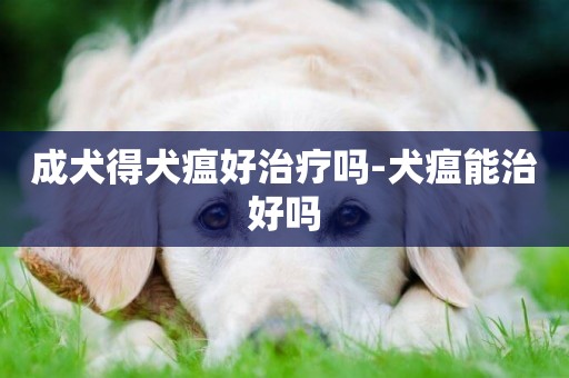 成犬得犬瘟好治療嗎-犬瘟能治好嗎