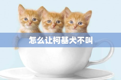 怎么讓柯基犬不叫