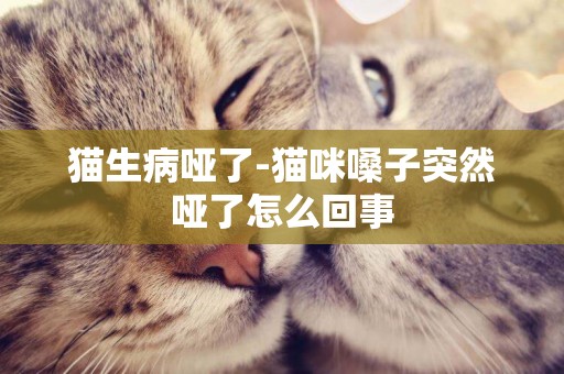 貓生病啞了-貓咪嗓子突然啞了怎么回事