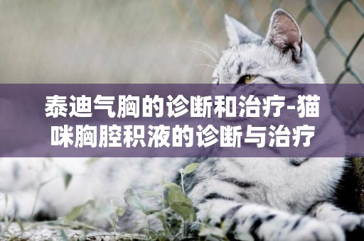 泰迪氣胸的診斷和治療-貓咪胸腔積液的診斷與治療