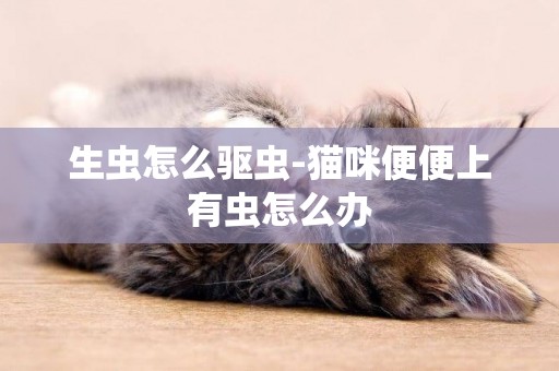 生蟲怎么驅蟲-貓咪便便上有蟲怎么辦