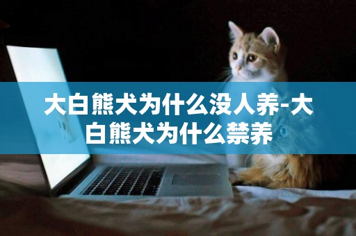 大白熊犬為什么沒人養-大白熊犬為什么禁養