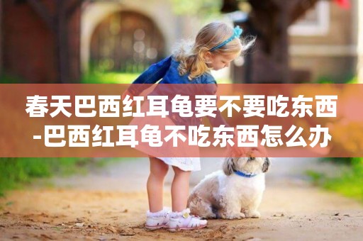 春天巴西紅耳龜要不要吃東西-巴西紅耳龜不吃東西怎么辦