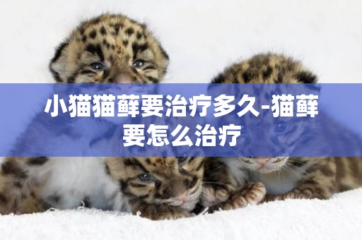 小貓貓蘚要治療多久-貓蘚要怎么治療