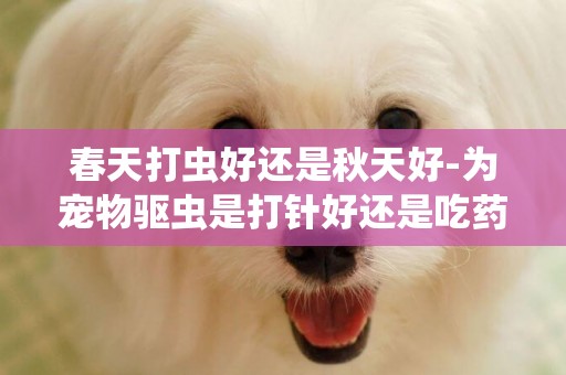 春天打蟲好還是秋天好-為寵物驅蟲是打針好還是吃藥好