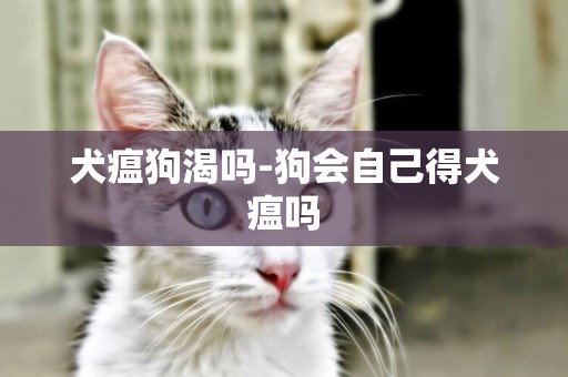 犬瘟狗渴嗎-狗會自己得犬瘟嗎