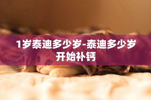 1歲泰迪多少歲-泰迪多少歲開始補鈣