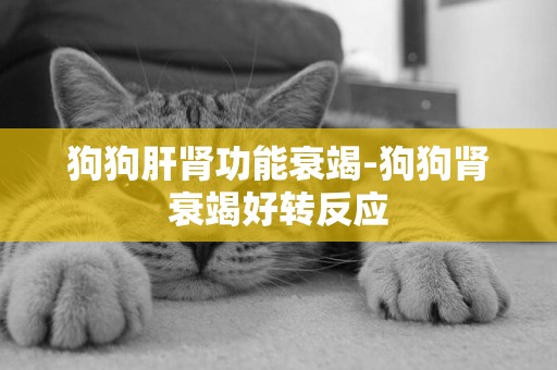 狗狗肝腎功能衰竭-狗狗腎衰竭好轉反應