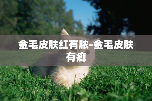 金毛皮膚紅有膿-金毛皮膚有癬