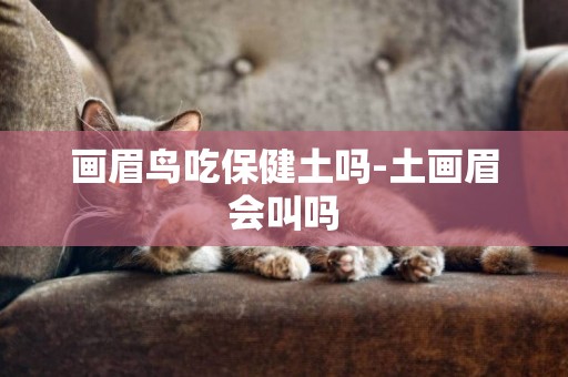畫眉鳥吃保健土嗎-土畫眉會叫嗎