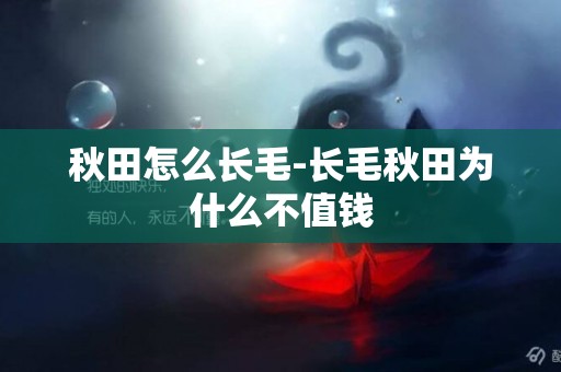 秋田怎么長毛-長毛秋田為什么不值錢