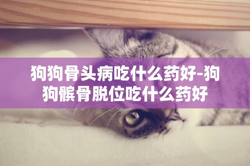 狗狗骨頭病吃什么藥好-狗狗髕骨脫位吃什么藥好