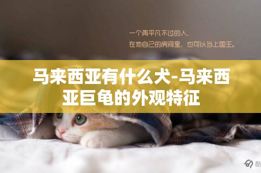 馬來西亞有什么犬-馬來西亞巨龜的外觀特征