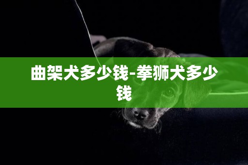 曲架犬多少錢-拳獅犬多少錢