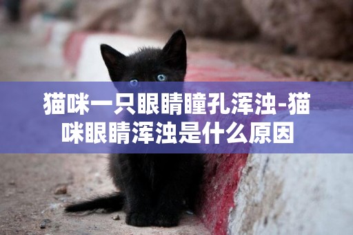 貓咪一只眼睛瞳孔渾濁-貓咪眼睛渾濁是什么原因