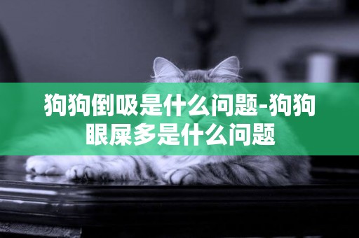 狗狗倒吸是什么問題-狗狗眼屎多是什么問題