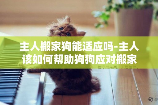 主人搬家狗能適應嗎-主人該如何幫助狗狗應對搬家