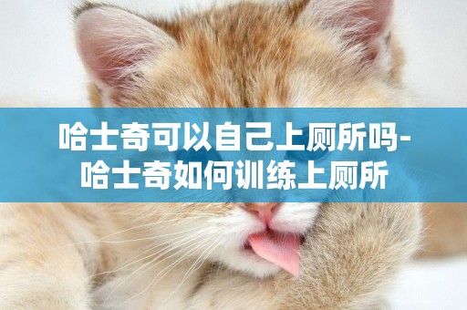 哈士奇可以自己上廁所嗎-哈士奇如何訓練上廁所