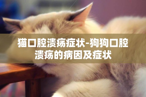 貓口腔潰瘍癥狀-狗狗口腔潰瘍的病因及癥狀